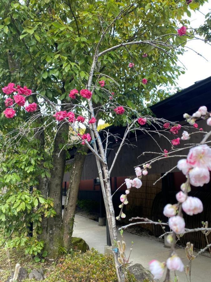Yufuin Ryoan Wazanho Hotell Ōita Exteriör bild